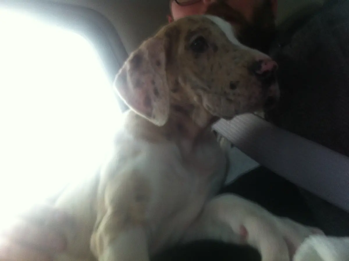 Holding Rosey on the ride home