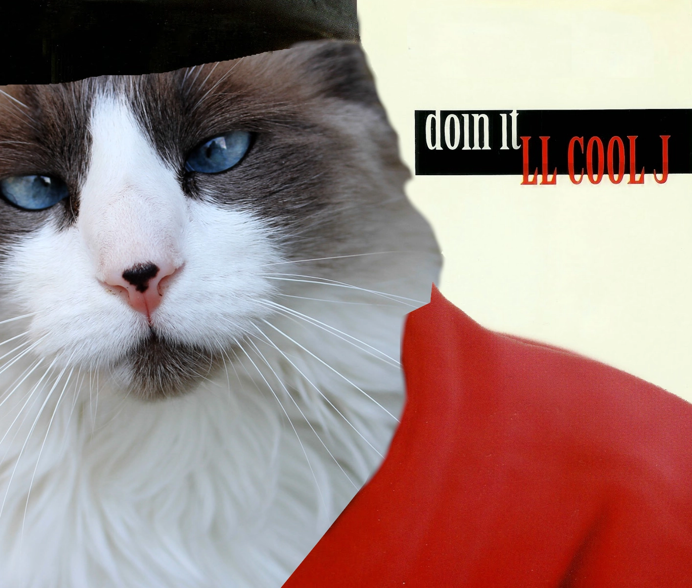 album cover for LL COOL J's doin' it but LL has been replaced by a cross eyed cat with blue yes