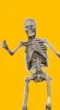 Skeleton peeking out