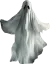 Ghost behind bush
